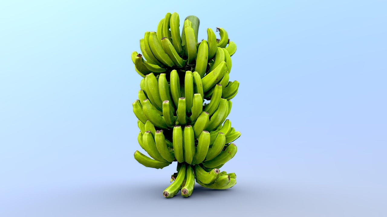 Media 1 for listing Bananas for scale
