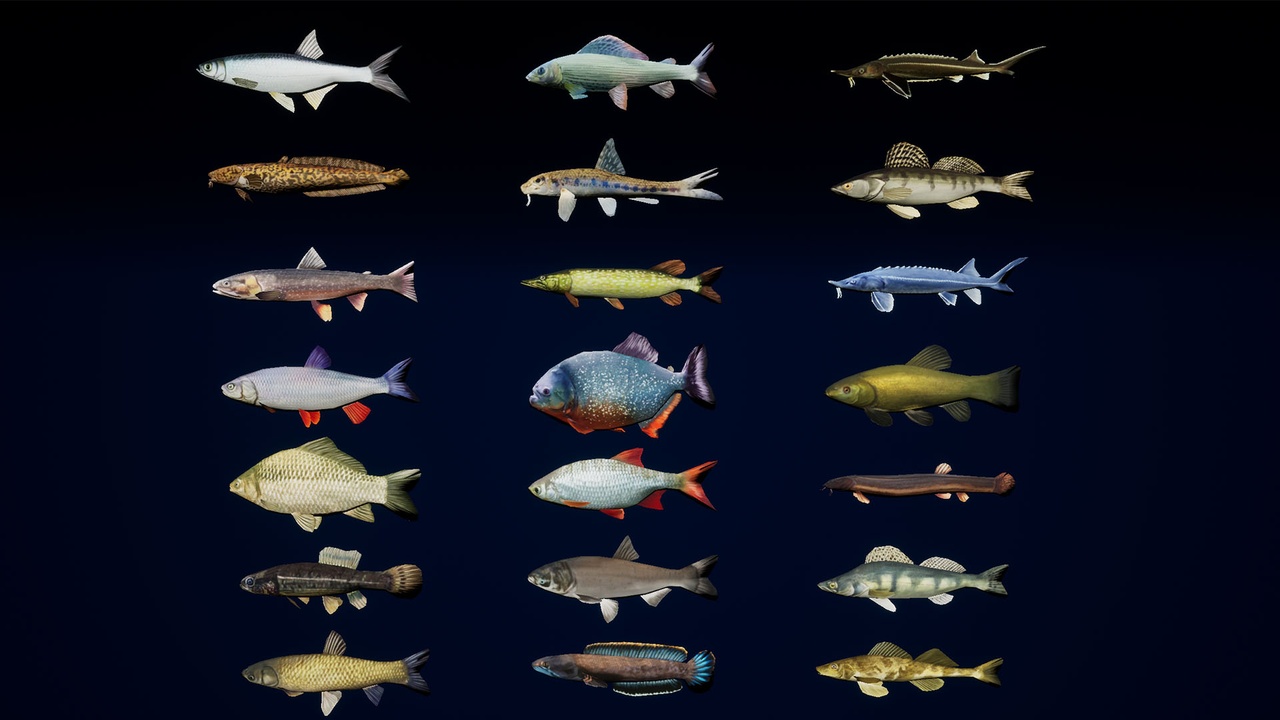 Media 1 for listing Fish Set