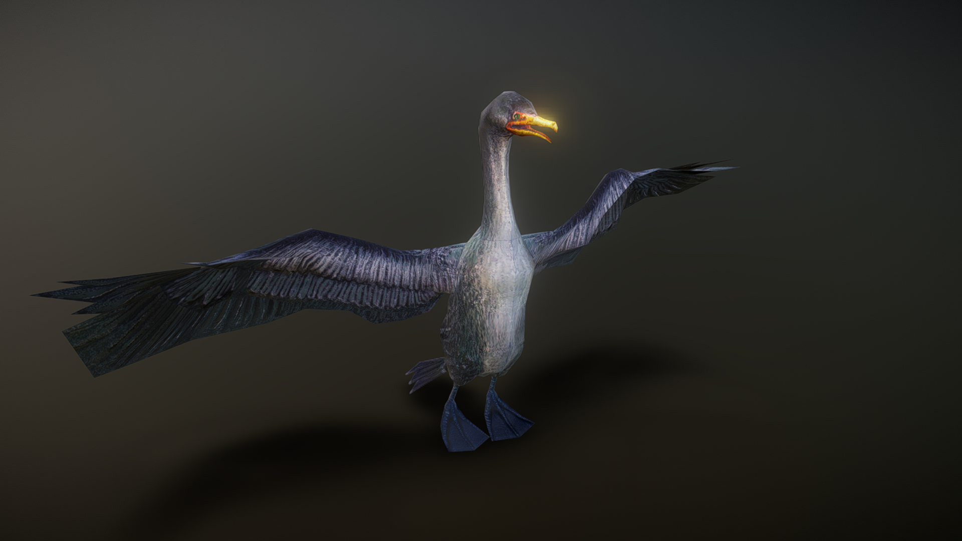 Bird animation 40 | Fab