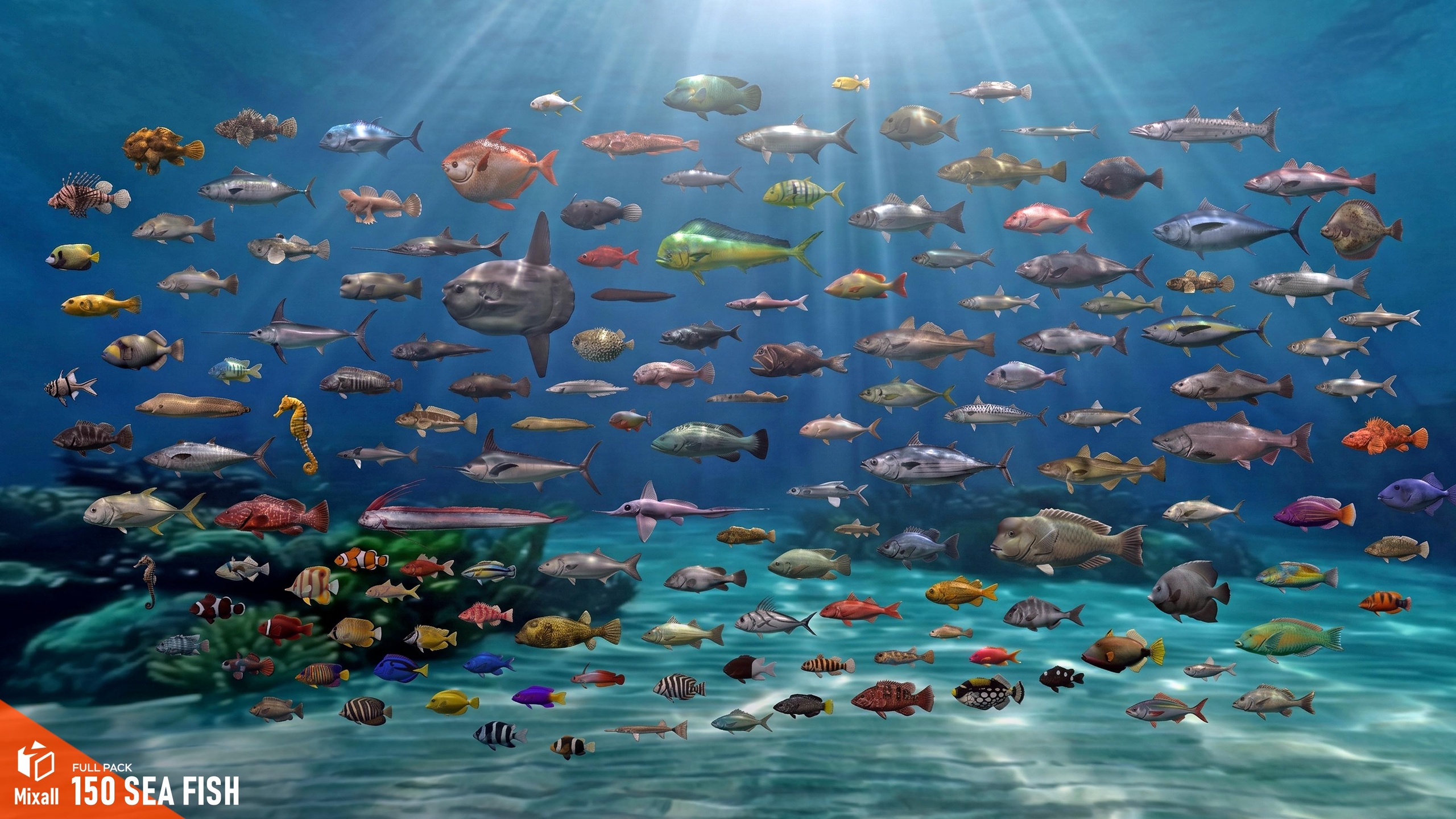Media 1 for listing 150 Sea fish - Full pack