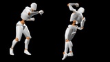Asset image