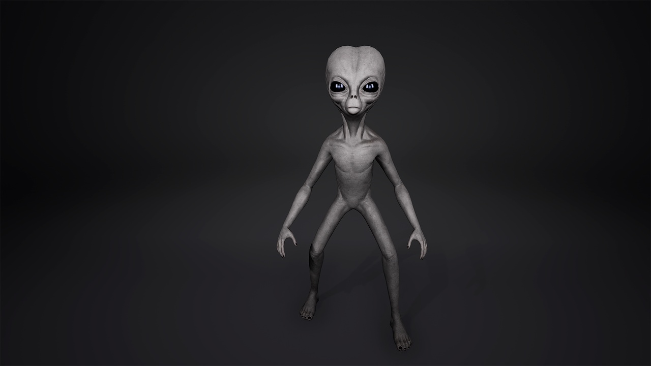 Media 1 for listing Grey Alien 2