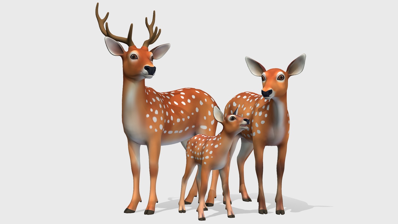 Media 1 for listing Cartoon - Deer