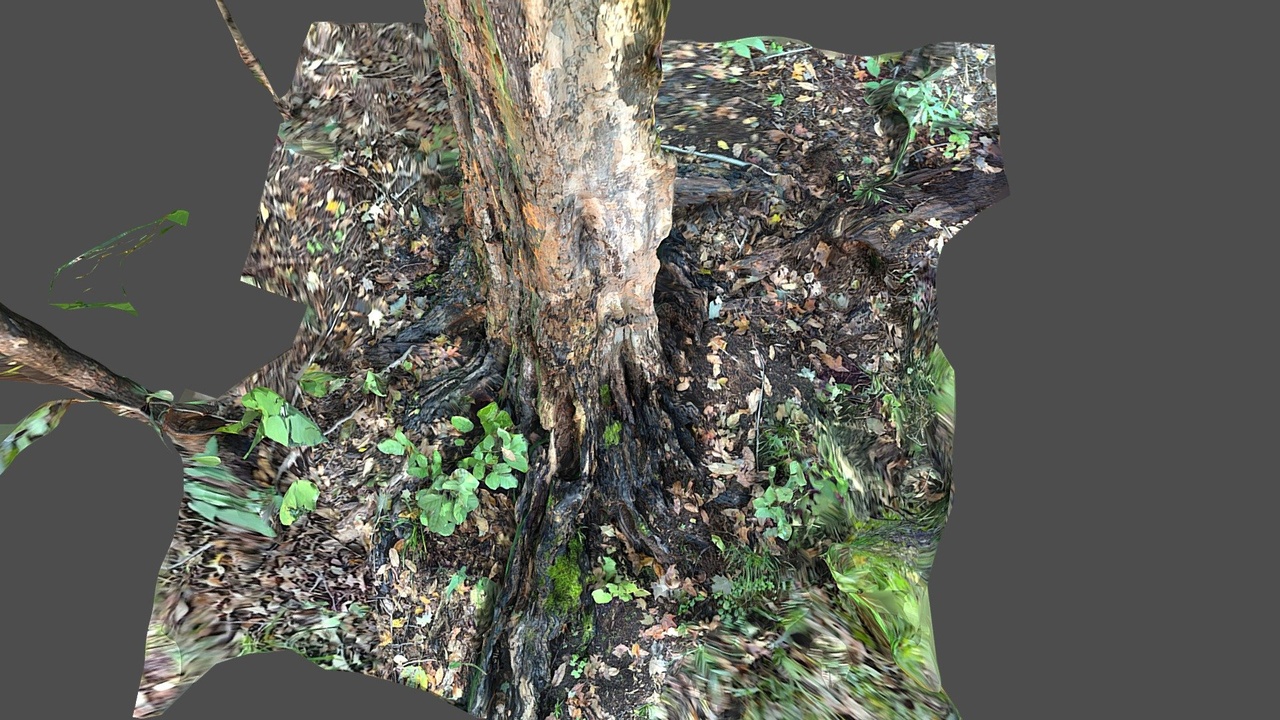 File multimediali per l'articolo Dream Fuel | Dead Tree: 1