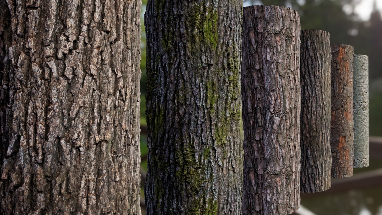 Media 1 for listing Tree Bark Materials
