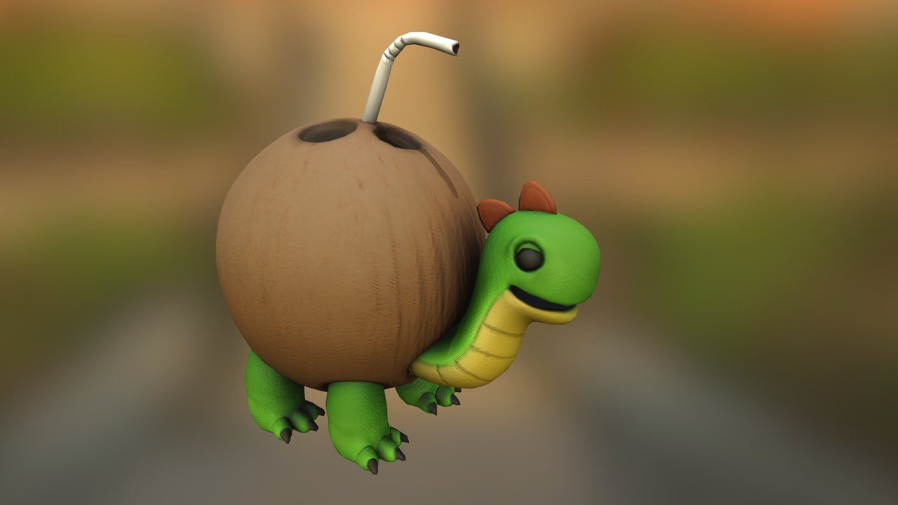 Media 1 for listing coconut turtle!