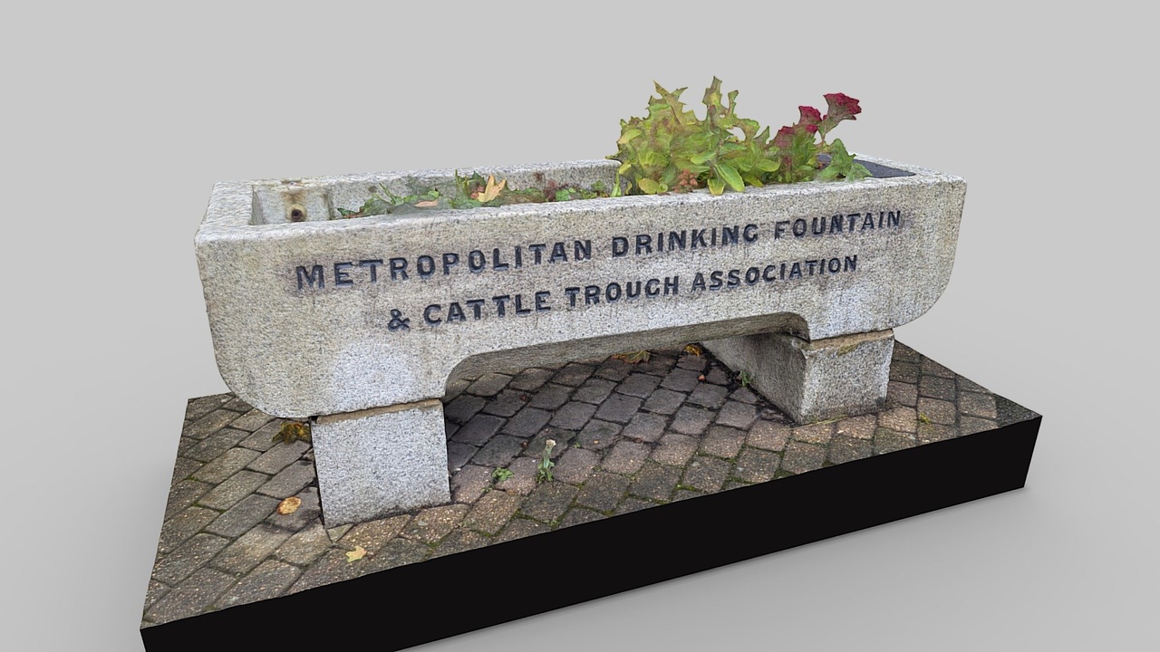 Media 1 for listing Cattle Trough Southampton West End Road
