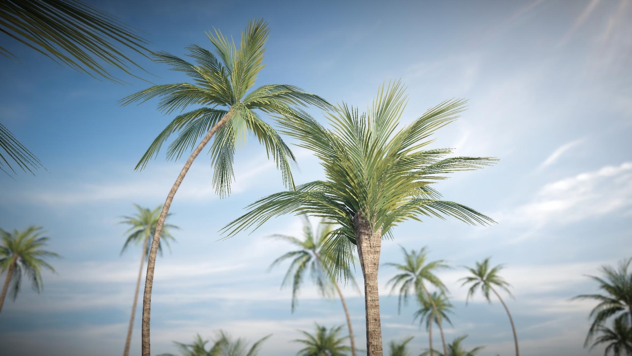 Realistic Palm Pack 2 제품 등록을 위한 미디어 1개