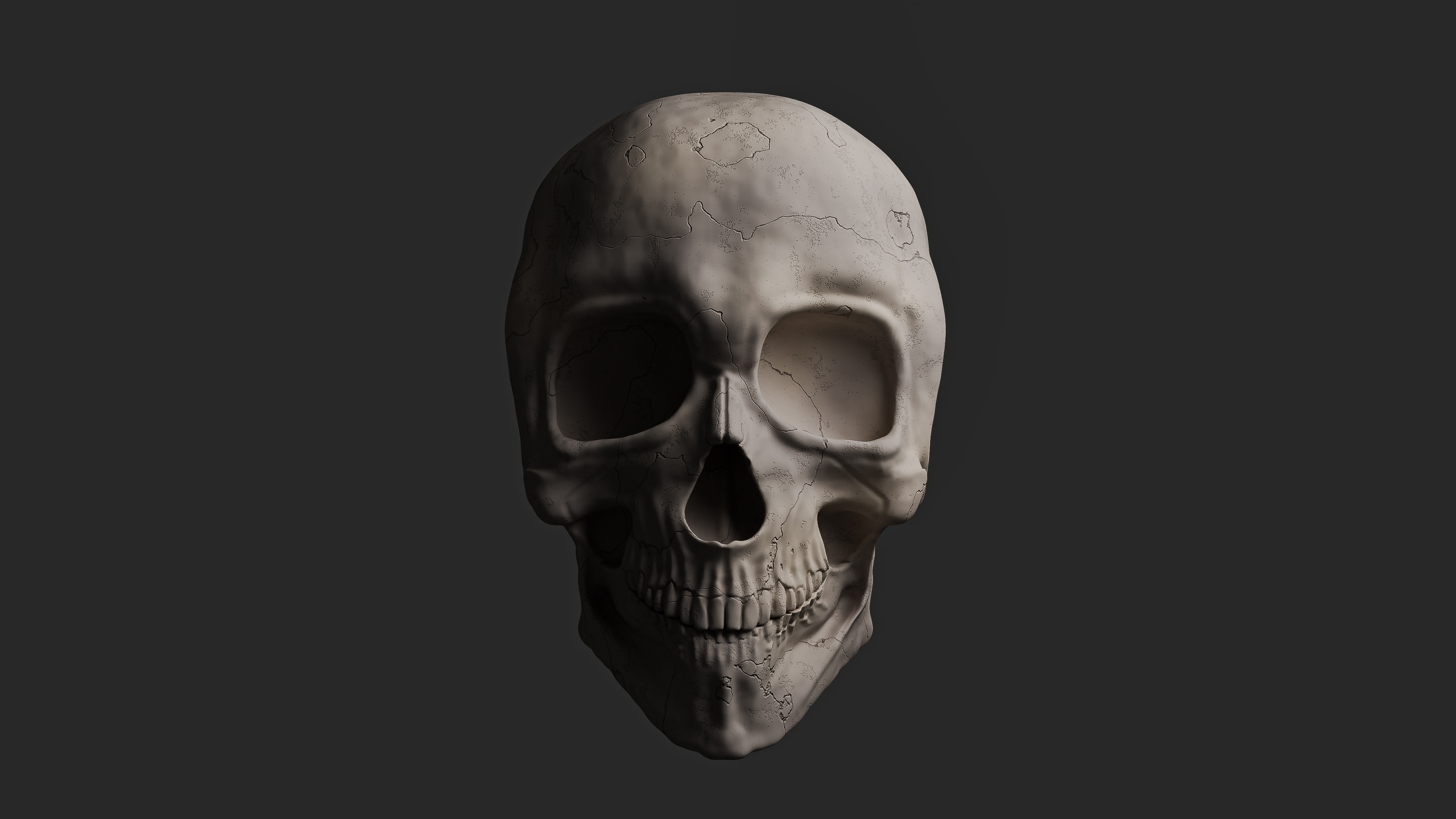 Media 1 for listing High Poly Realistic Human Skull – 4K Textured Cinematic Model