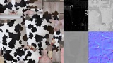 Asset image