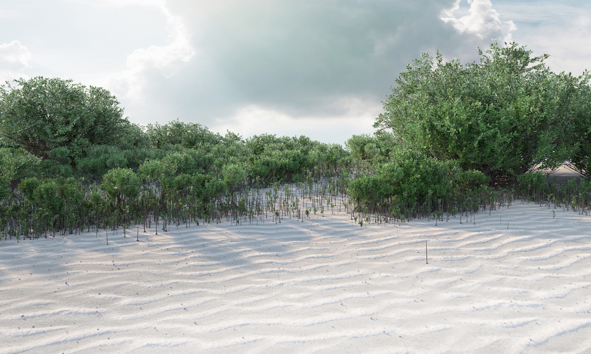Media 1 for listing Collection of detailed 3D Mangrove Plants