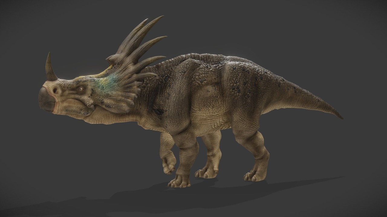 Média 1 pour l'article Styracosaurus Albertensis