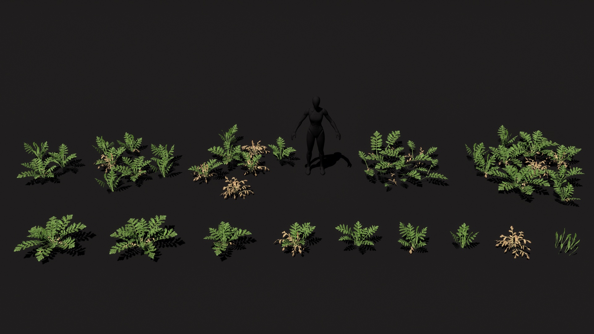 Media 1 for listing Forest floor weeds nanite ready