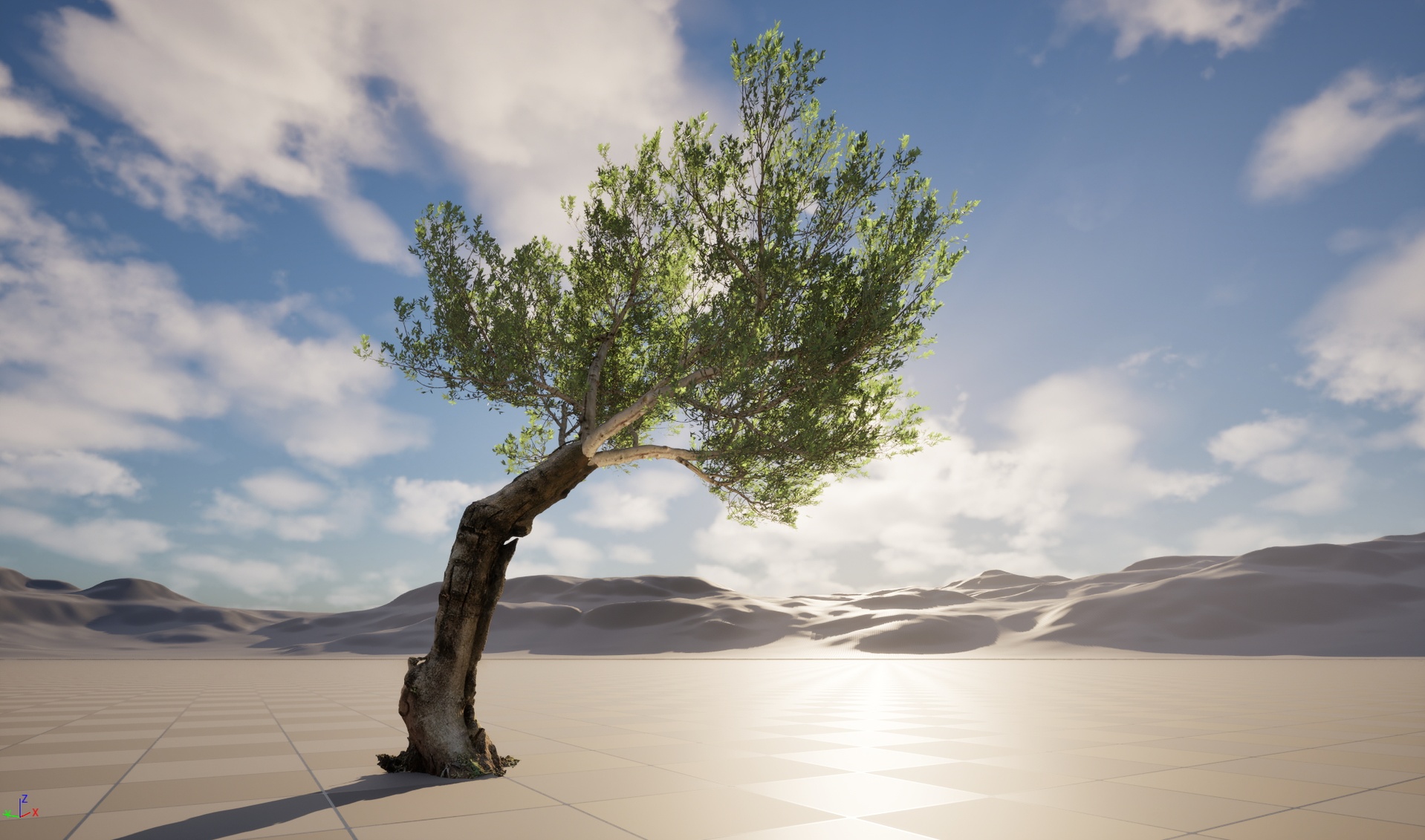 Media 1 for listing Nanite Wind Plants - Scanned Olea europaea - Common olive 17