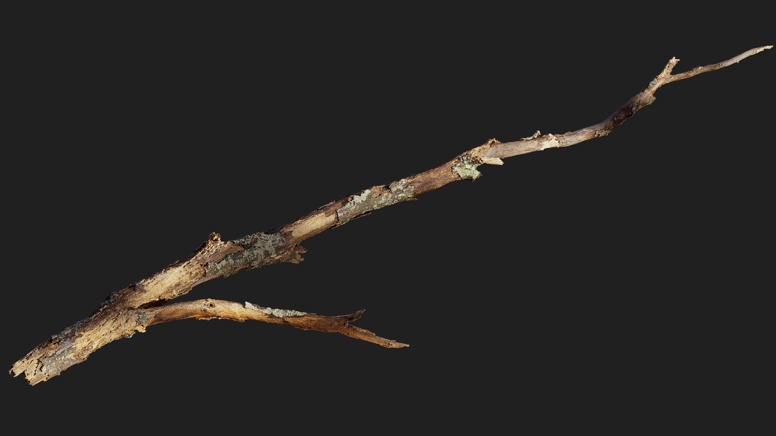 Media 1 for listing Broken Branch 01
