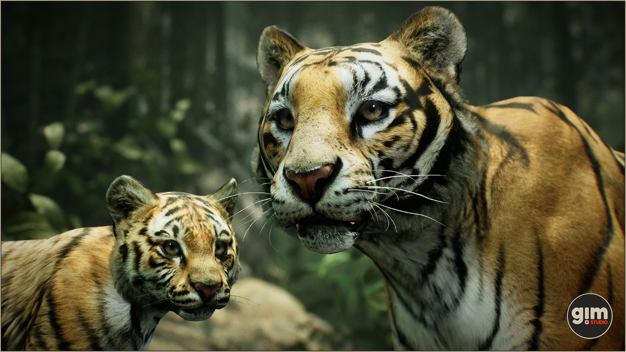 Media 1 for listing Animalia - Tiger (pack)
