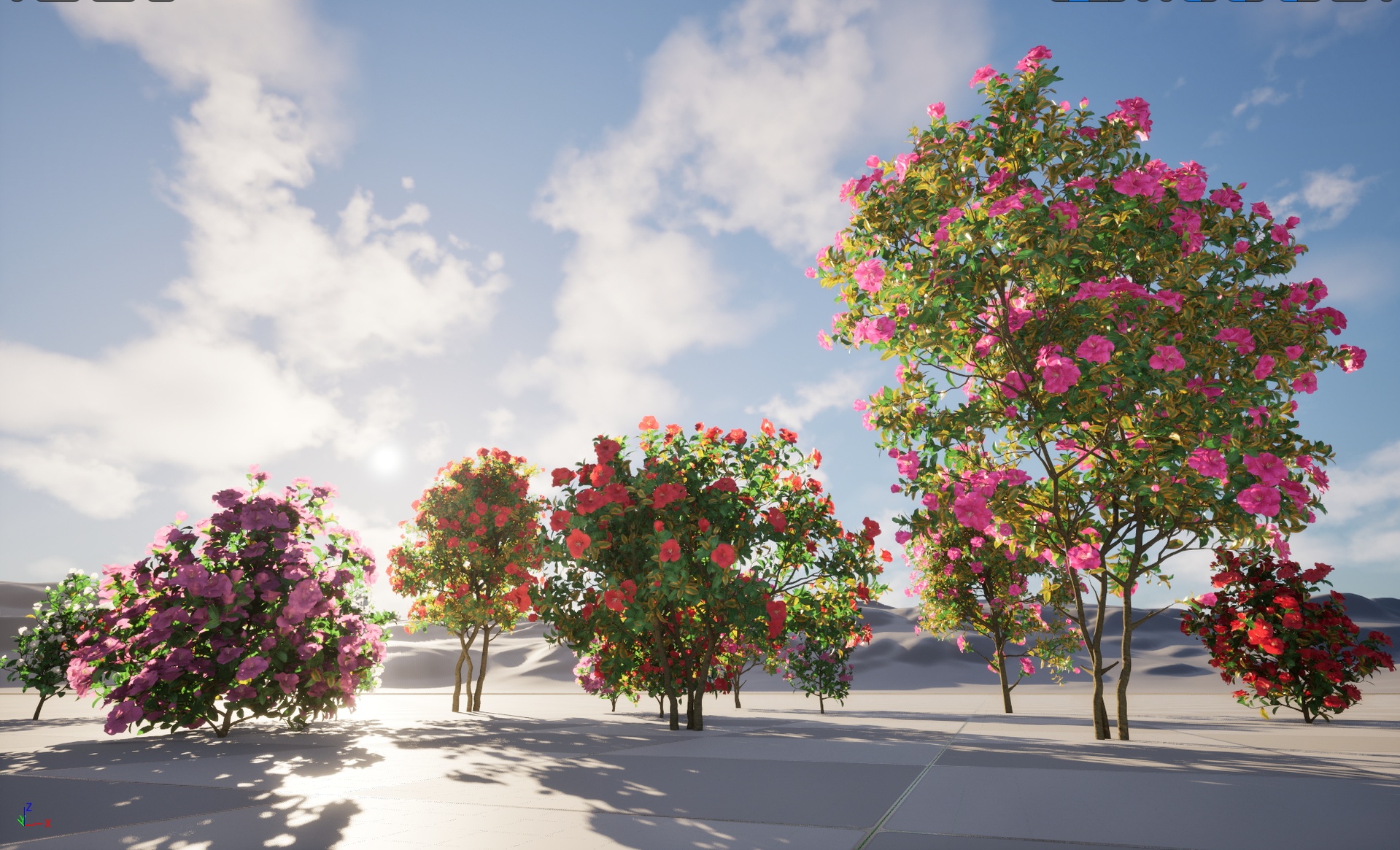 Media 1 for listing Nanite Plant Shrub - Camellia japonica - Japanese camellia