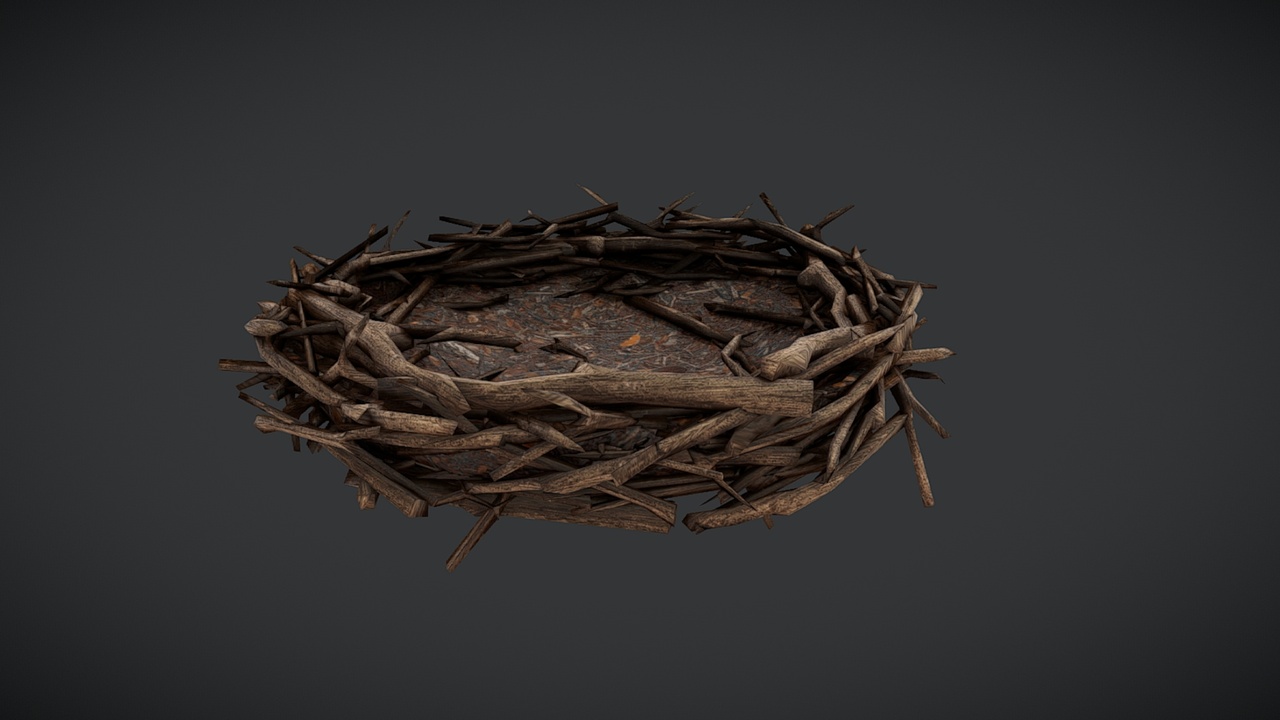 Media 1 for listing Giant Nest