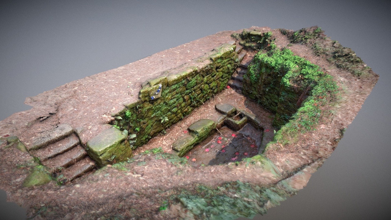 Media 1 for listing Forest Pit