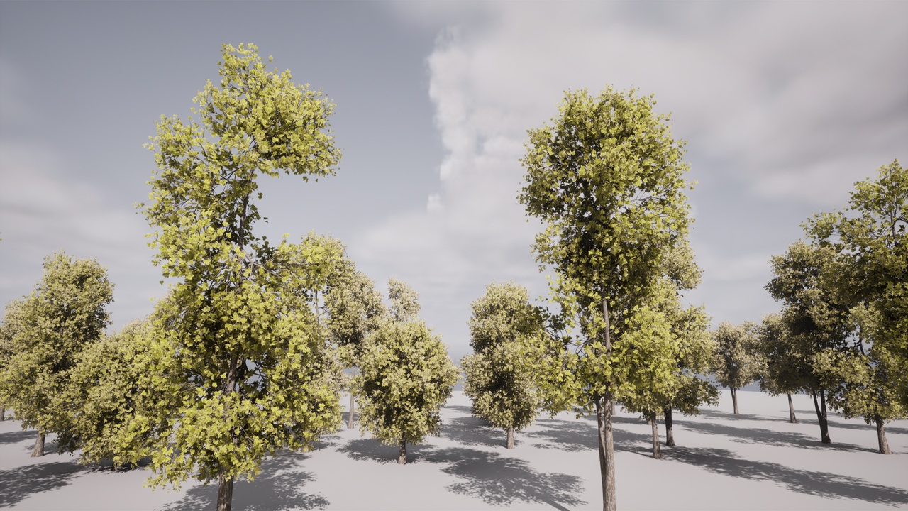 Media 1 for listing HighPoly Tree Pack 38