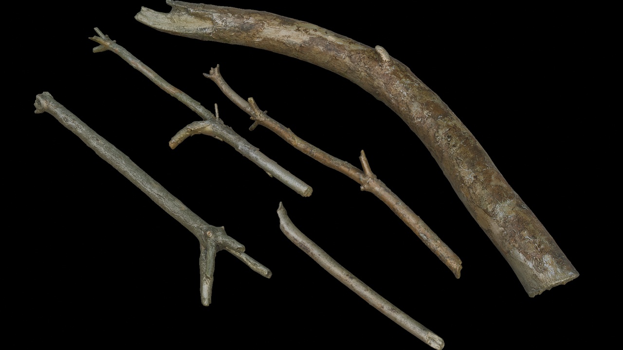 Media 1 for listing Assorted Rustic Tree Branches Collection