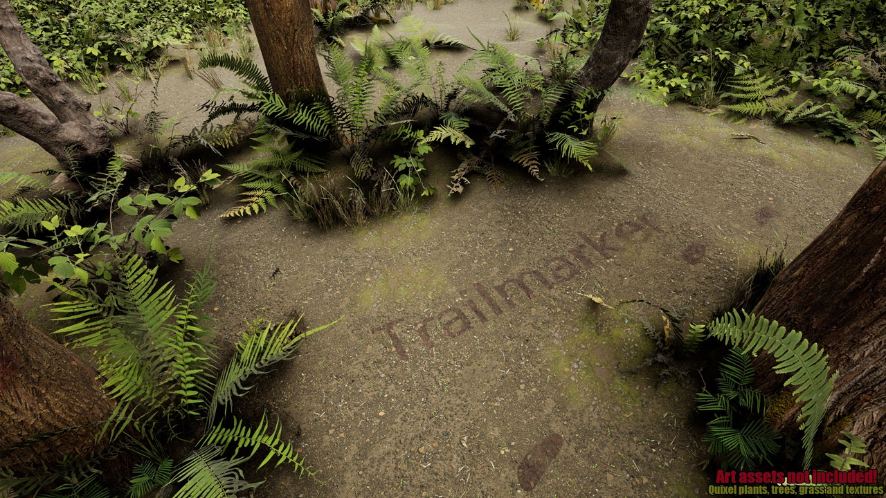 出品Trailmarkerのメディア1