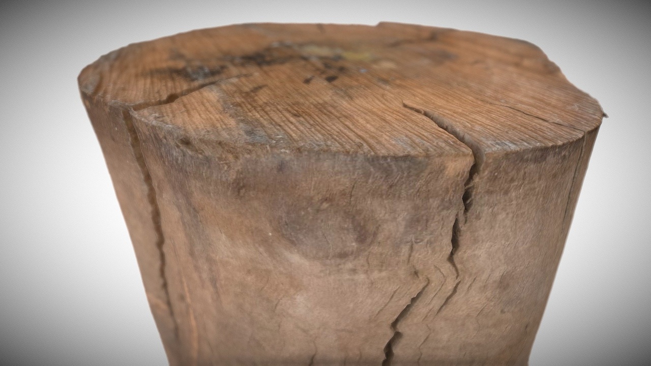 Media 1 for listing Wood2 from 3D Scanned Unreal Engine 5 project
