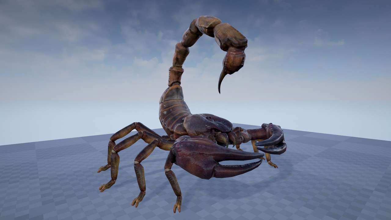Media 1 for listing Giant Scorpion