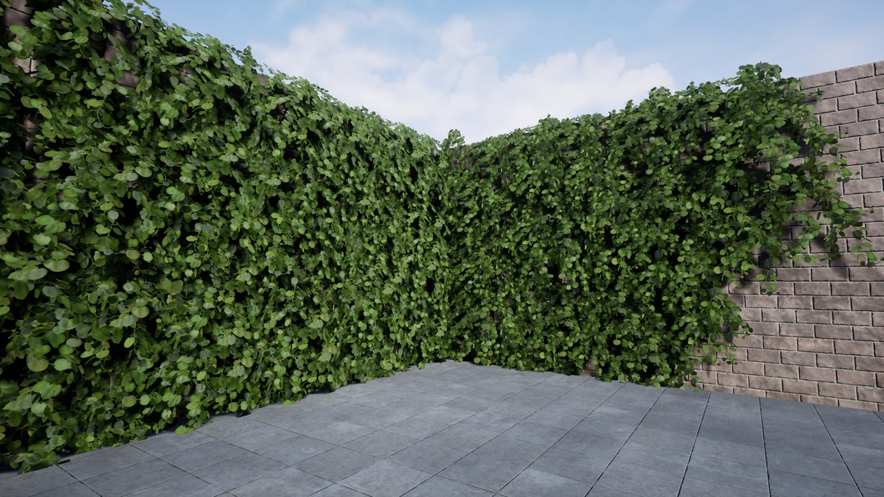 Media 1 for listing Ivy Foliage Pack 4K