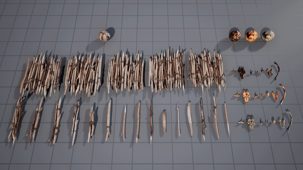 Media 1 for listing Sticks and Bones