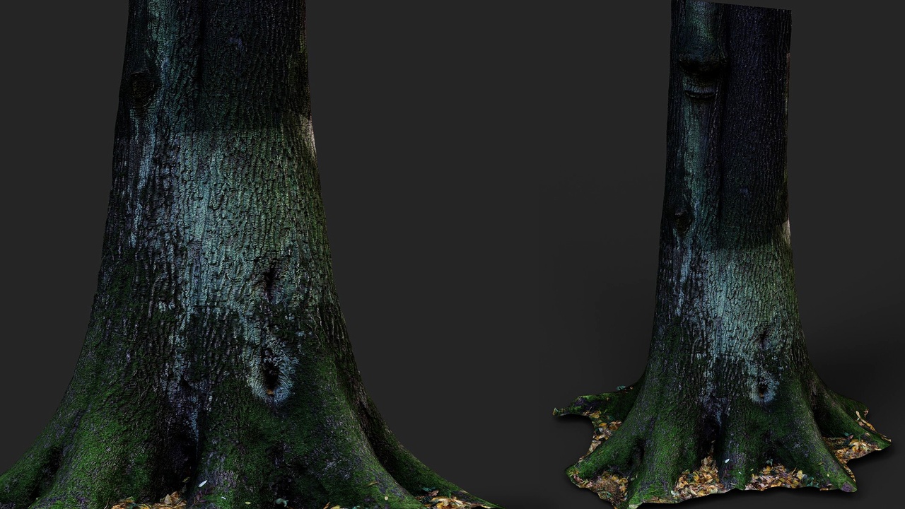 tree oak mossy stump PBR photogrammetry | Fab