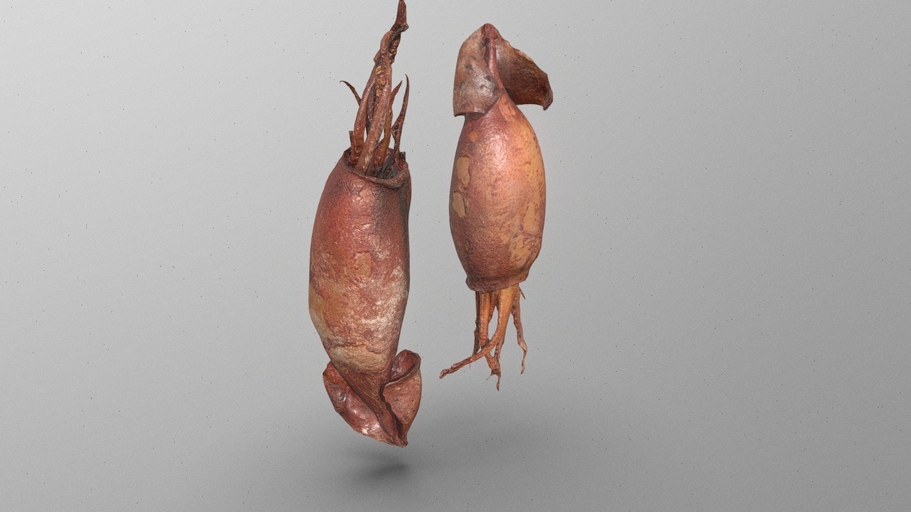 Media 1 for listing set of 2 squids ready to be eaten