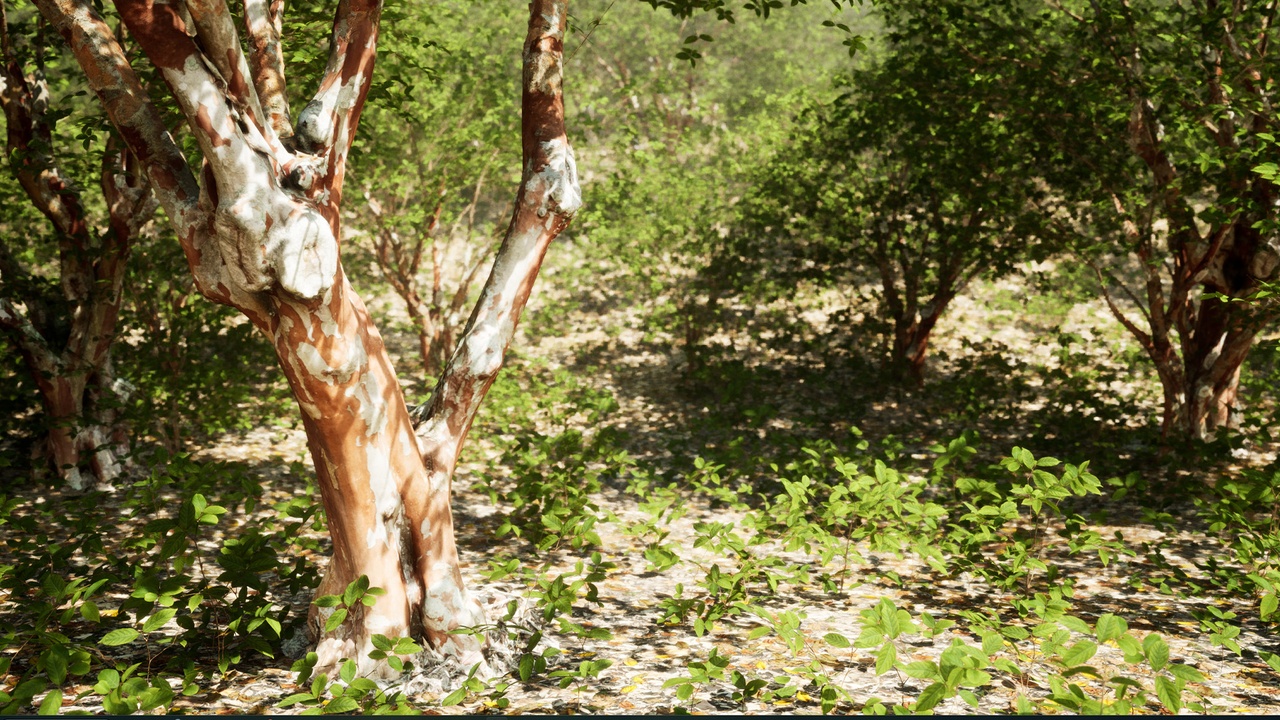 Media 1 for listing Nanite Trees - Crape Myrtle Pack