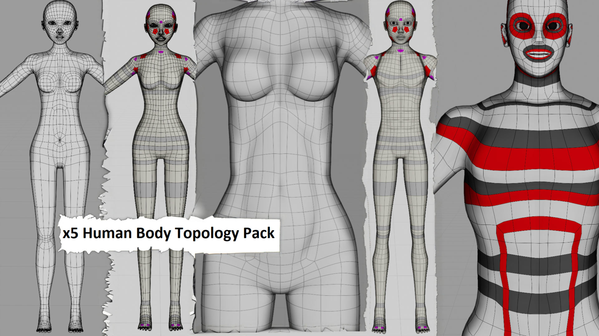 Bodygrid 🧍 5 Human Body Topology Pack – Male & Female Base Meshes | Fab