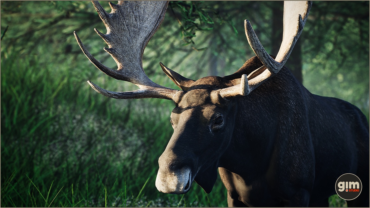 Animalia - Moose (male) 제품 등록을 위한 미디어 1개