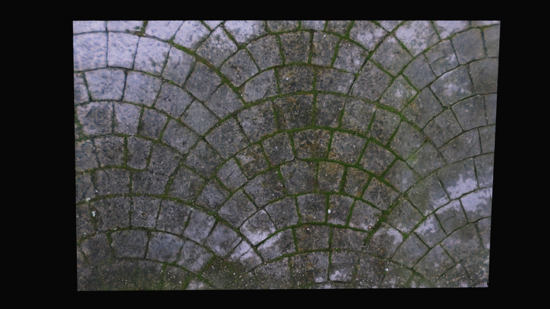 Scan Moss Grey printed concrete floor - with moss - scan | Fab