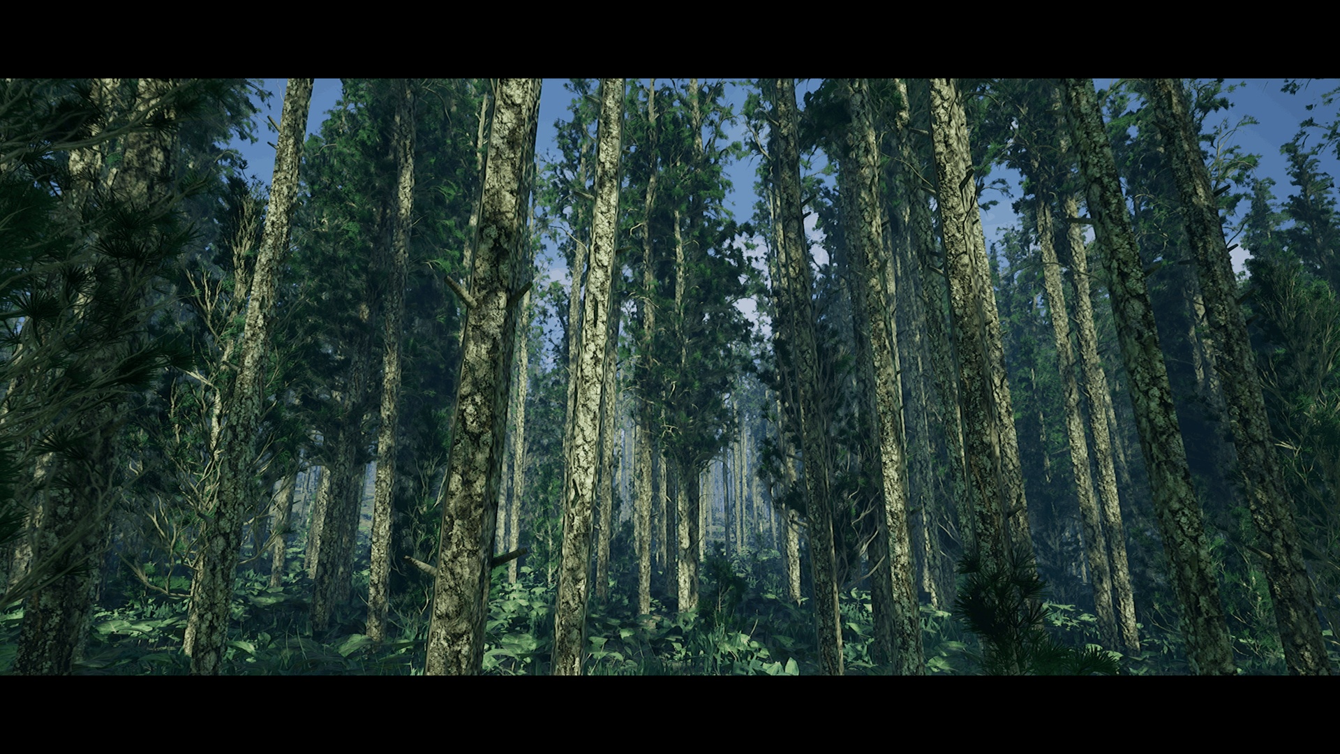 Media 1 for listing Taiga