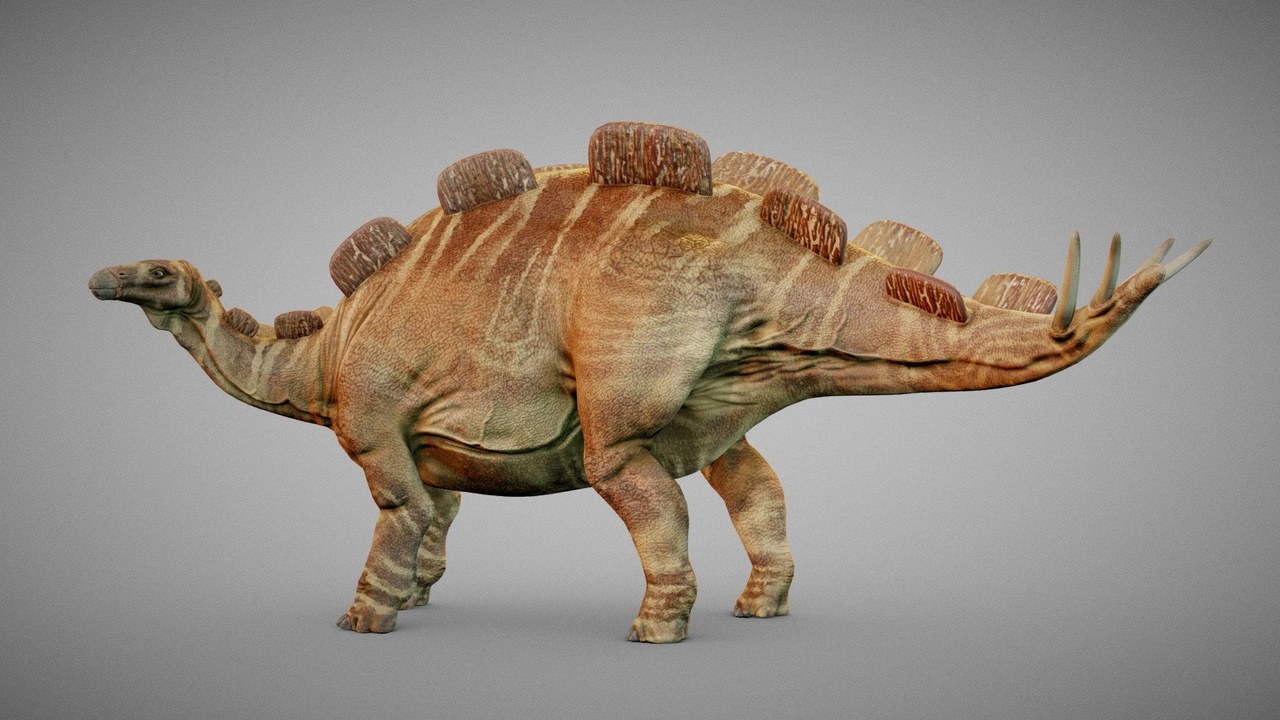 Media 1 for listing Wuerhosaurus