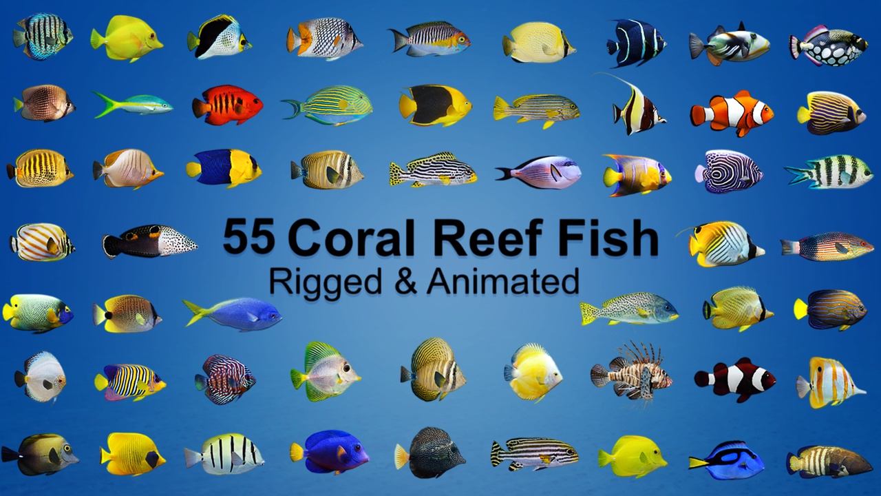 Media 1 for listing Coral Reef Fish Collection Animated - Game Ready pack 3