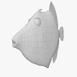 Threadsail Filefish Threadsail Filefish - Kawahagi - Stephanolepis cirrhifer | Fab