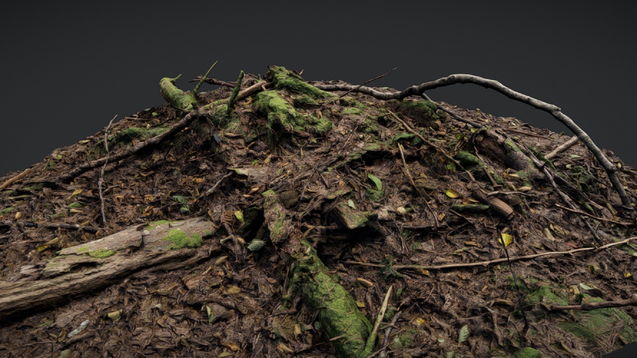 Media 1 for listing Forest Ground 2