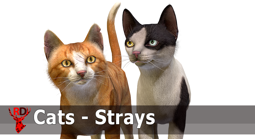 ＜BB.Kong＞STRAY CATS UNRELEASED DEMO Fundraiser by Lisa Morales : Help Moon Lake's Stray Cats: TNR & Care