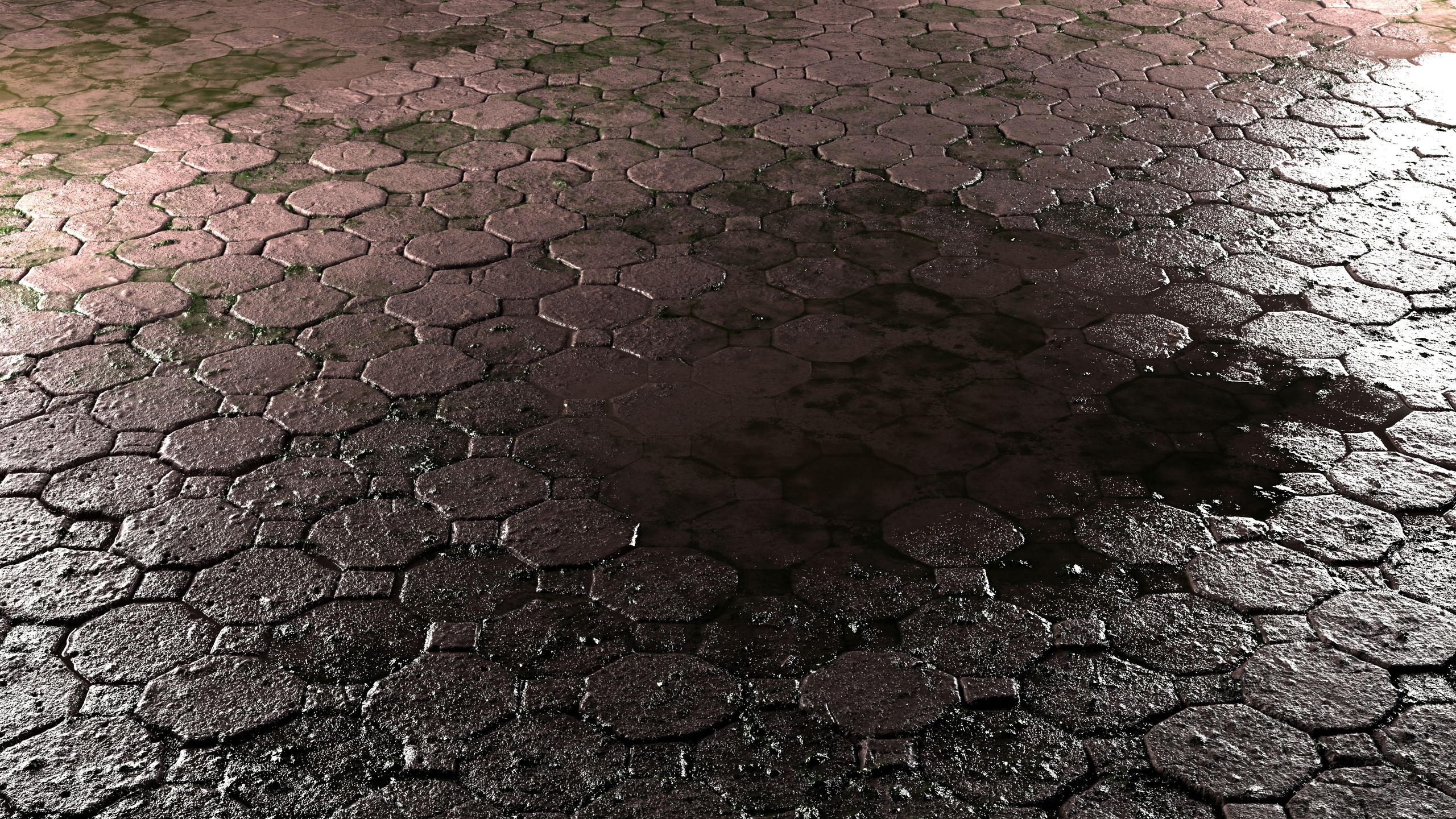 Media 1 for listing Wet Pavement 8K PBR Texture