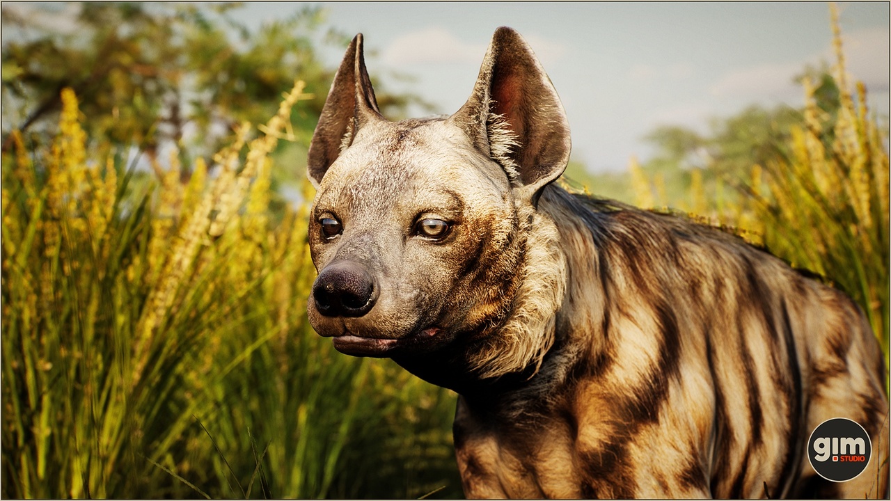 商品 Animalia - Striped Hyena (male) 的媒体 1