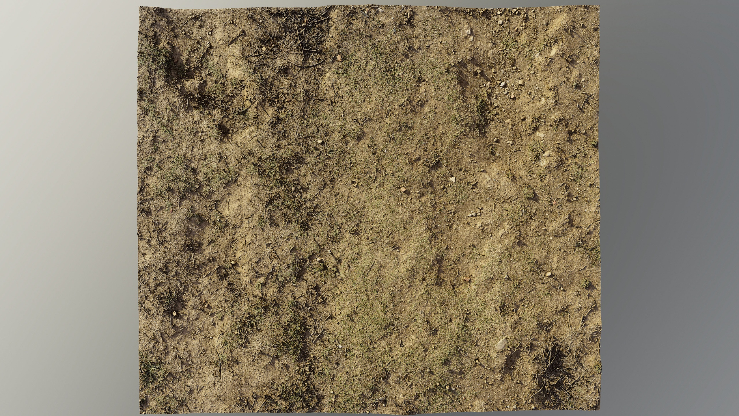 Media 1 for listing dirt_path_scan_06102024