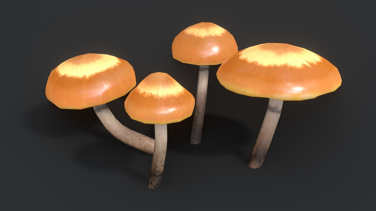 Media 1 for listing Sheathed Woodtuft Mushrooms Set