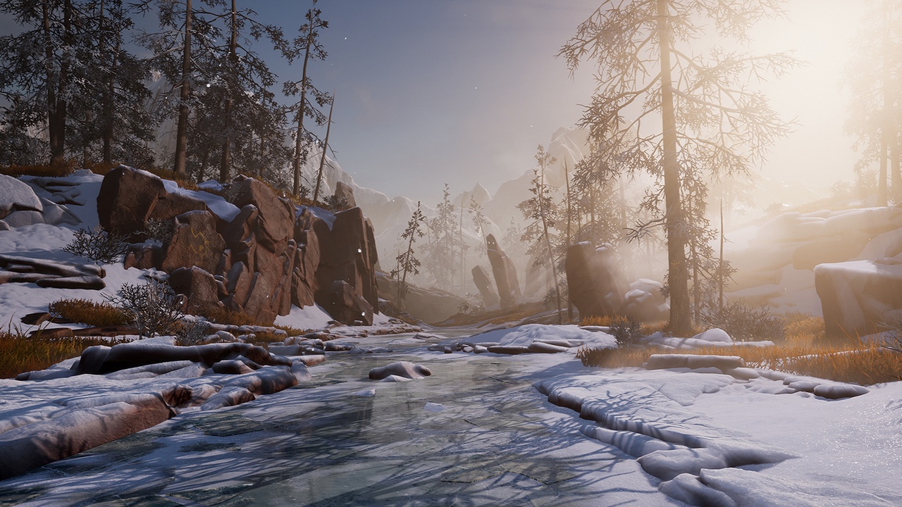 Media 1 for listing Snow Forest