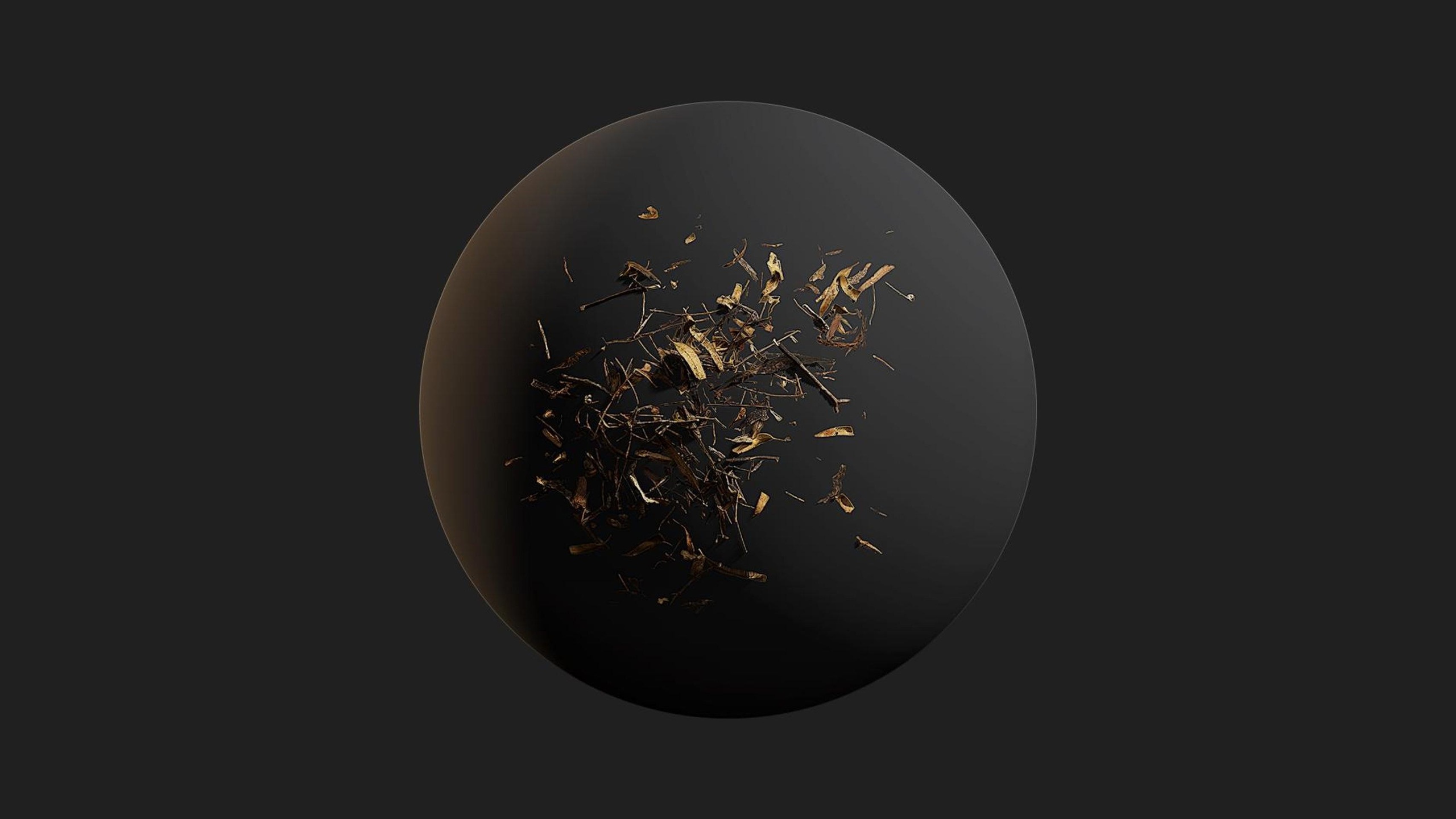 Media 1 for listing Arid Debris