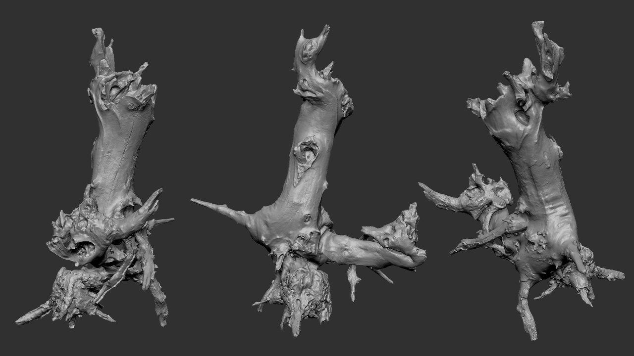 Media 1 for listing Withered tree root wood trunk zbrush engraving highpoly