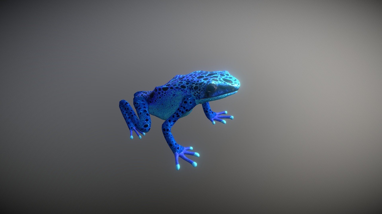 Media 1 for listing Animated Frog 3D Animal | 20+ Animations